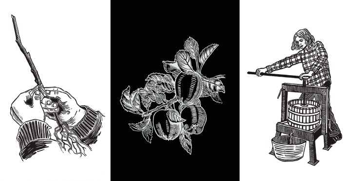 Dundee Urban Orchard - Print City - Graft